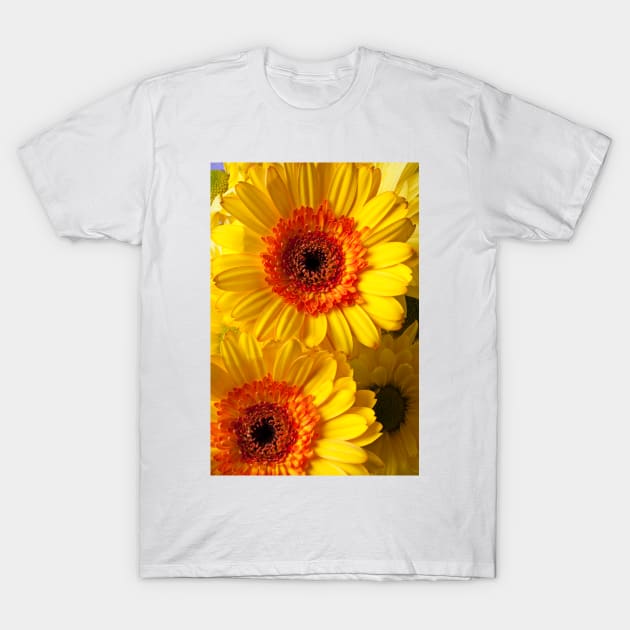 Two Yellow Orange Mums T-Shirt by photogarry